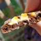 Adventyful Girl Scout Cookie的横断面
